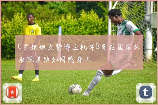 C罗姐姐点赞博主批评B费在国家队表现差劲如同隐身人